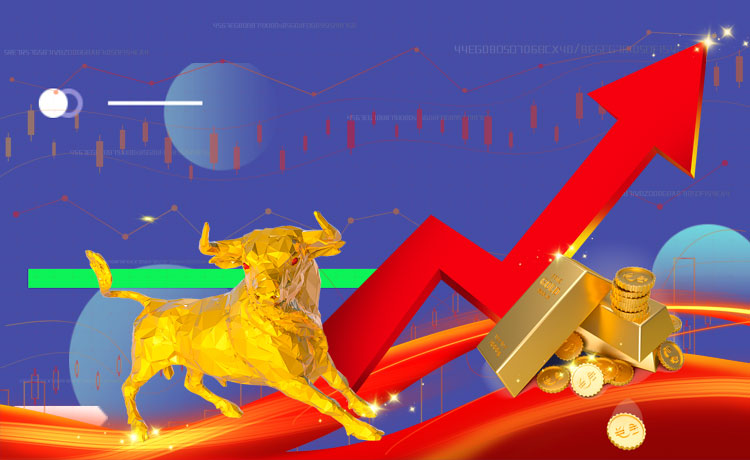 牛市行情怎么把握！