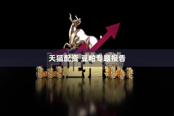 天猫配资 豆粕专题报告
