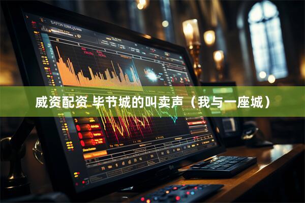 威资配资 毕节城的叫卖声（我与一座城）