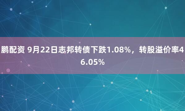 鹏配资 9月22日志邦转债下跌1.08%，转股溢价率46.05%